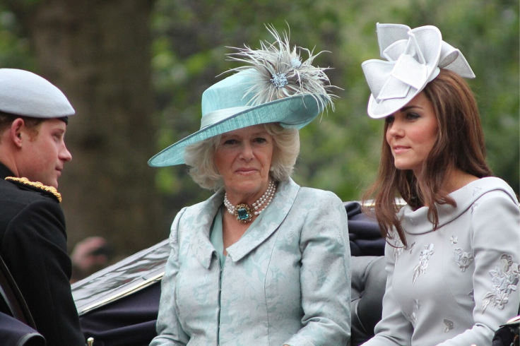 Camilla Stepped In When Kate Got Distracted By Queen Maxima