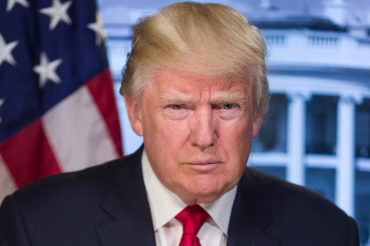 Portrait of President-elect Donald Trump