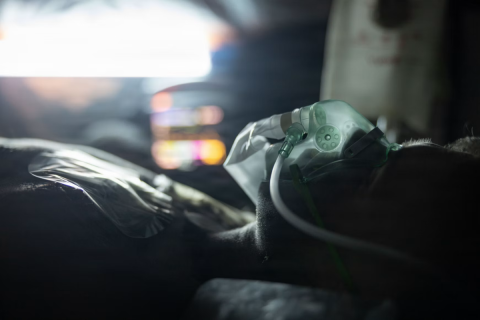 Russia’s Plague Death Fuels Cover-Up Fears