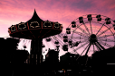 Theme Park