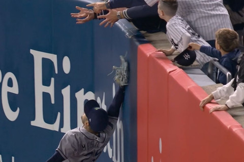 Yankees Fan Interference