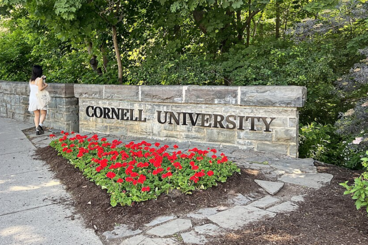 Cornell University Sign