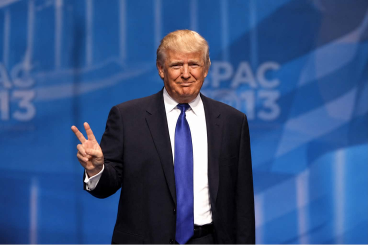 Trump Mocks Protester’s Weight After She Is Punched by Supporter