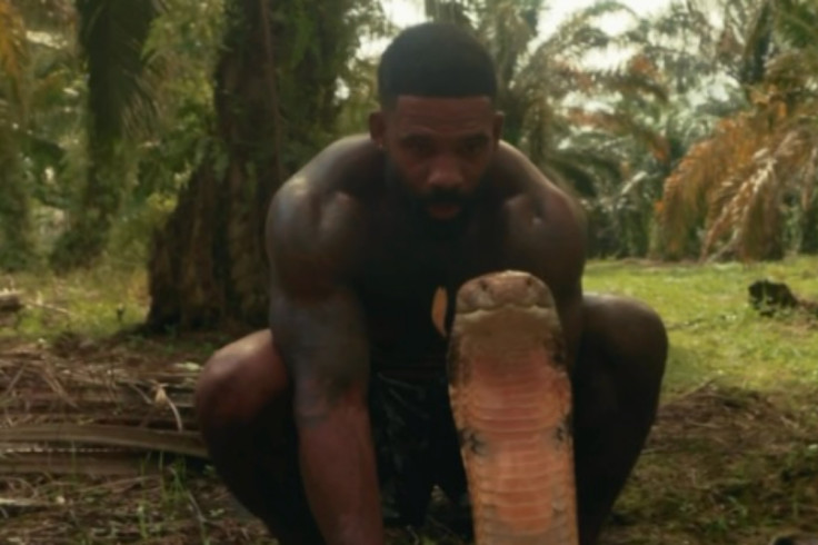 therealtarzann wrestles a python