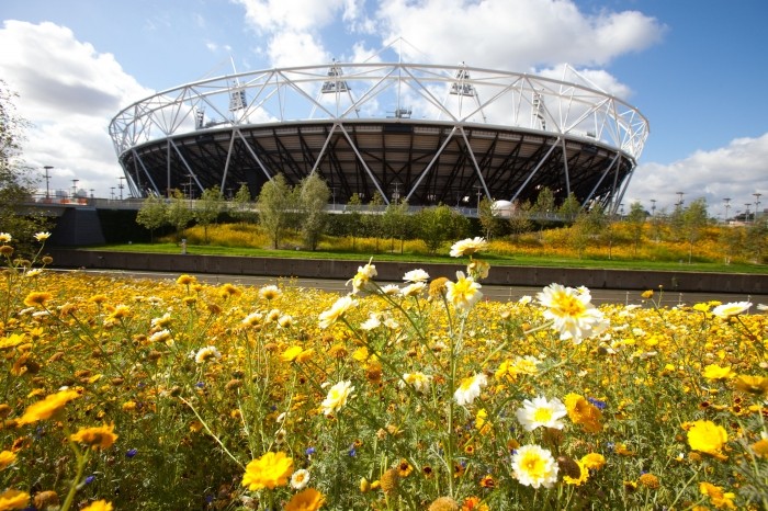 Flowers in bloom in the parkland039s area of the Olympic Park looking towards the Olympic Stadium Oct. 3,2011