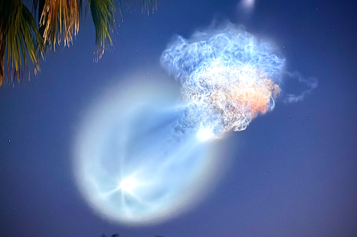 SpaceX Jellyfish