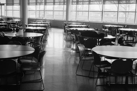 Irish School Meals Site Shut After Rodent Droppings Found