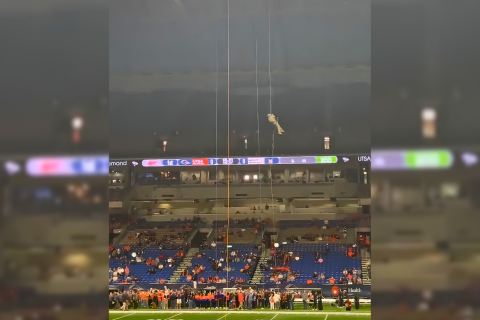 Alamodome turf