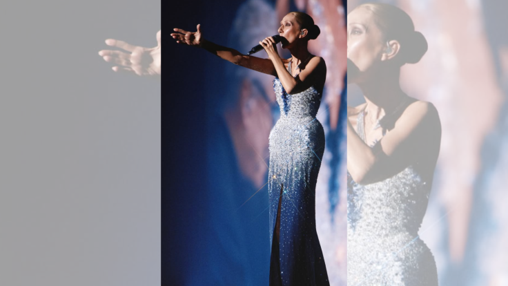 Emmanuel Macron and First Lady Attend Celine Dion Concert
