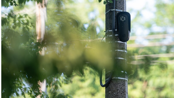 Flock Camera