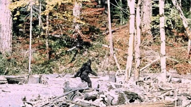 Big foot