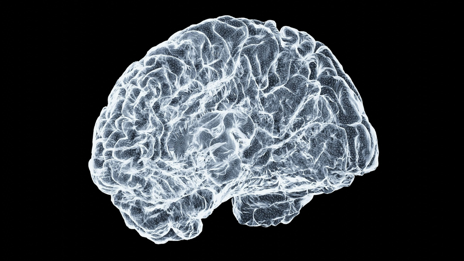 Scientists Use Living Human Brain Cells To Decode Braille at 83% Accuracy and Even Guide a Robot Dog