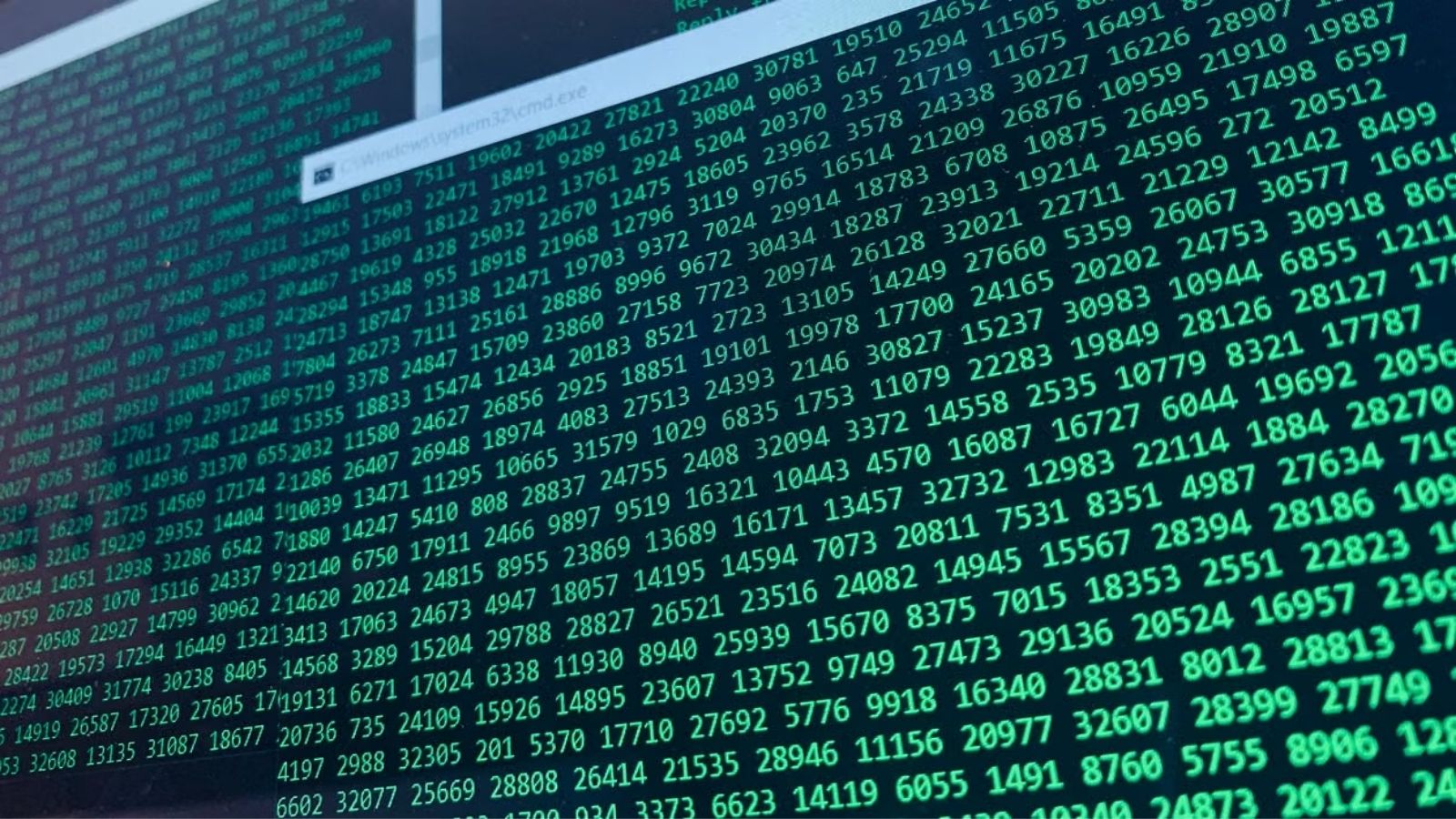 Millions of Websites Could Be at Risk as Critical Security Flaws Trigger Urgent Warning
