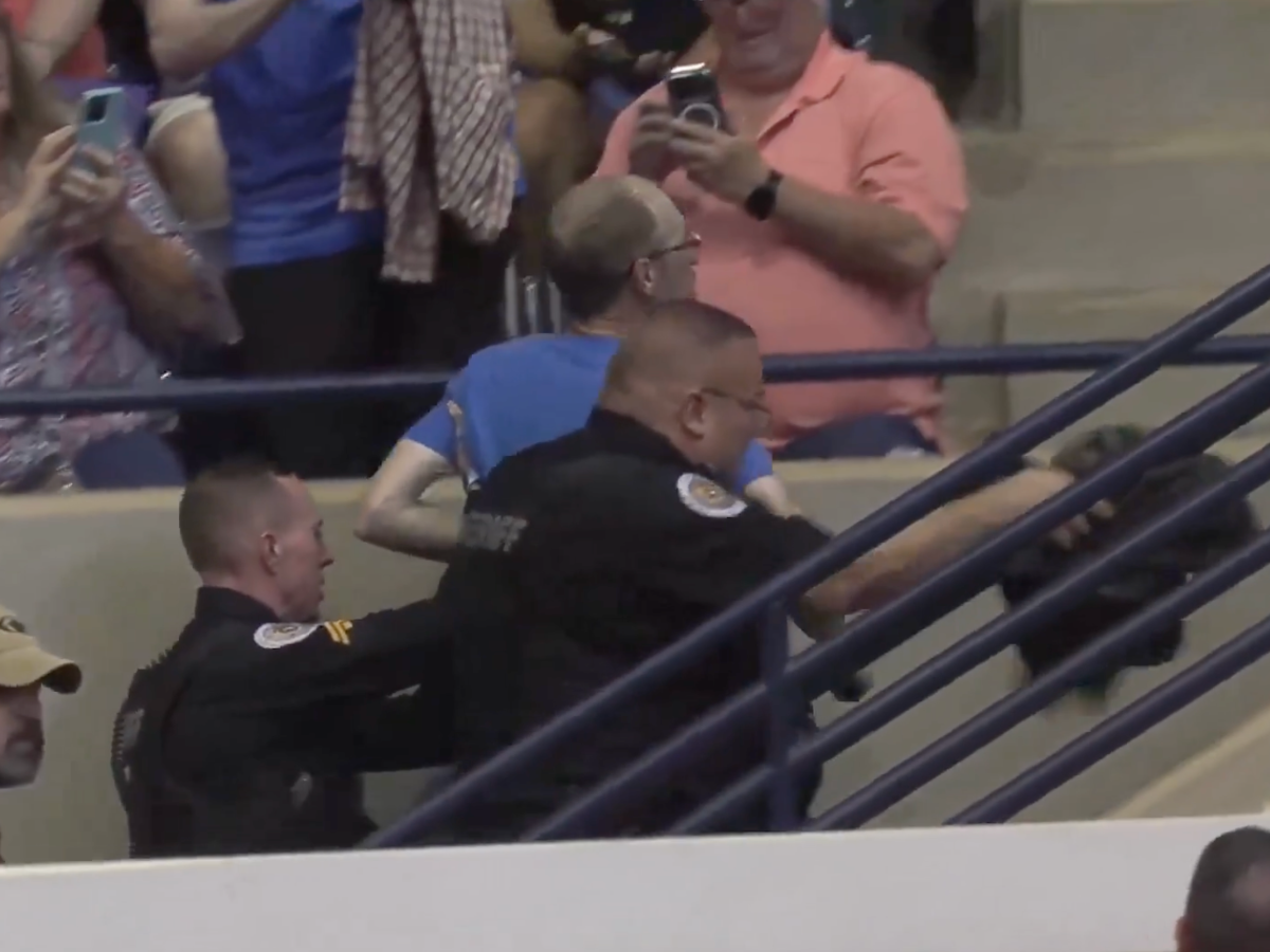 Trump protester punched