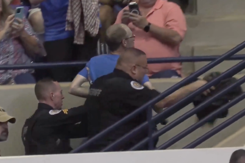 Trump protester punched