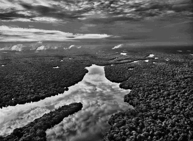 An exhibition in aid of Sky Rainforest Rescue, featuring photography from Sebastio Salgado and Per Anders Pettersson