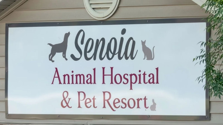 Senoia Animal Hospital