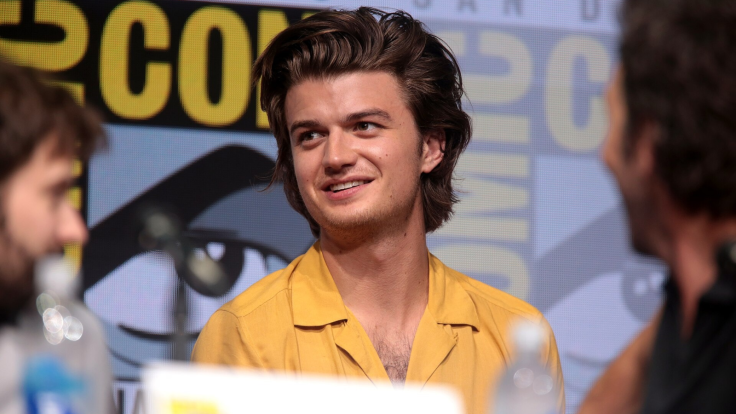 Joe Keery and Chase Sui Wonders Reunion Rumours