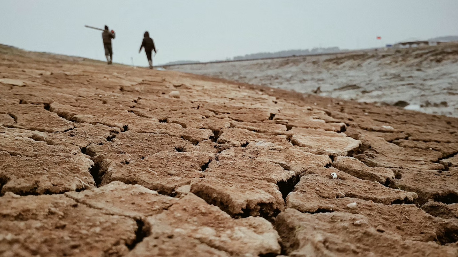 people walking across a dry grass field