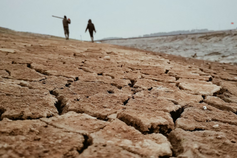 people walking across a dry grass field