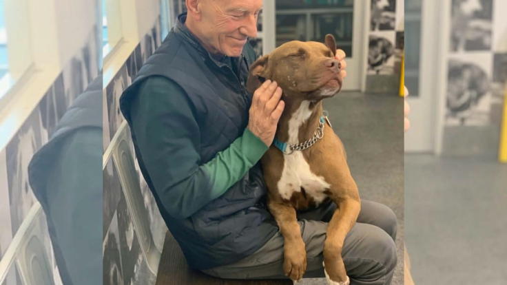 Sir Patrick Stewart