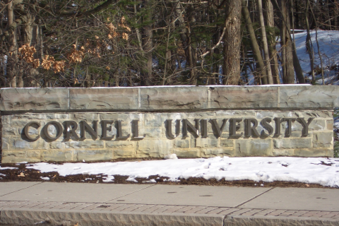 Cornell University