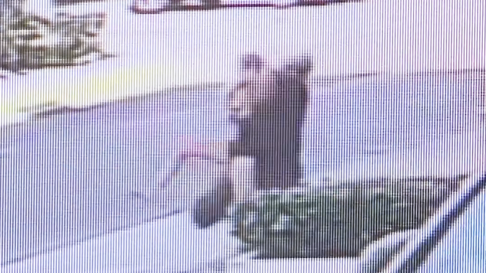 'He Looked Like a Monster': Witness Describes Terrifying Hawaii Kidnapping Attempt Caught on CCTV