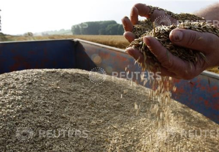 Fibre and whole grains reduce bowel cancer risk