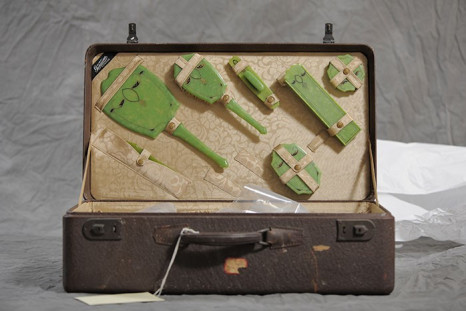 Suitcase containing green hairbrushes
