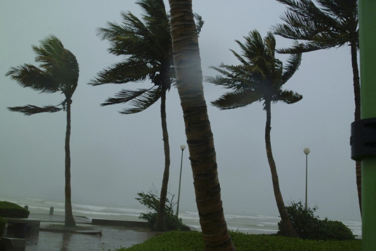 Cyclone bends trees