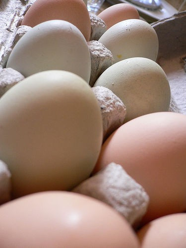 Eggs