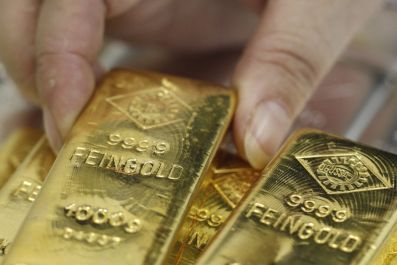 An employee picks up a gold bar at the Austrian Gold and Silver Separating Plant &#039;Oegussa&#039; in Vienna August 26, 2011.