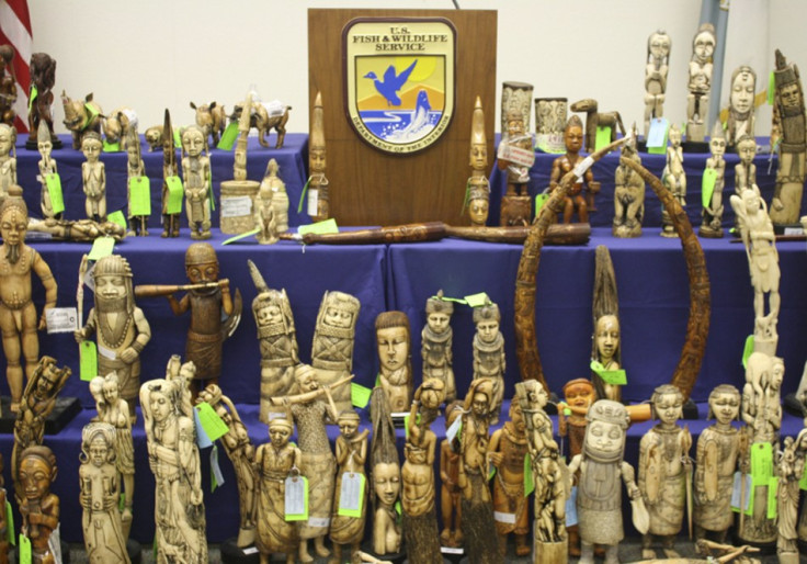 ivory seized confiscated 2011
