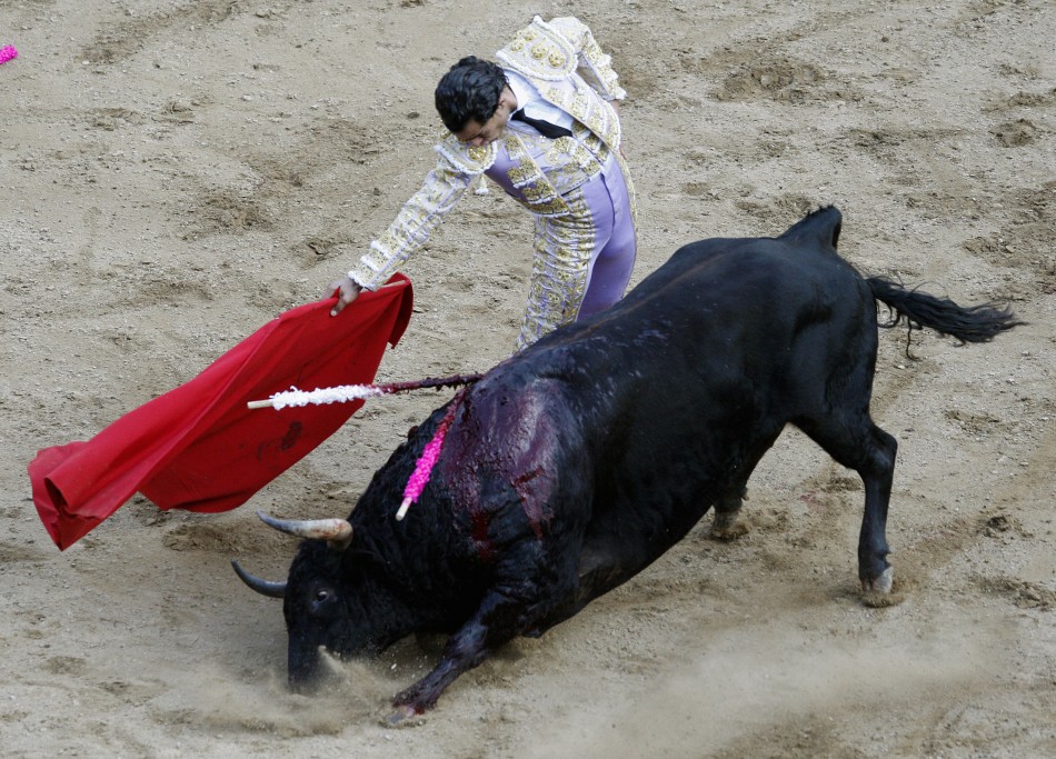 Cali bullfight