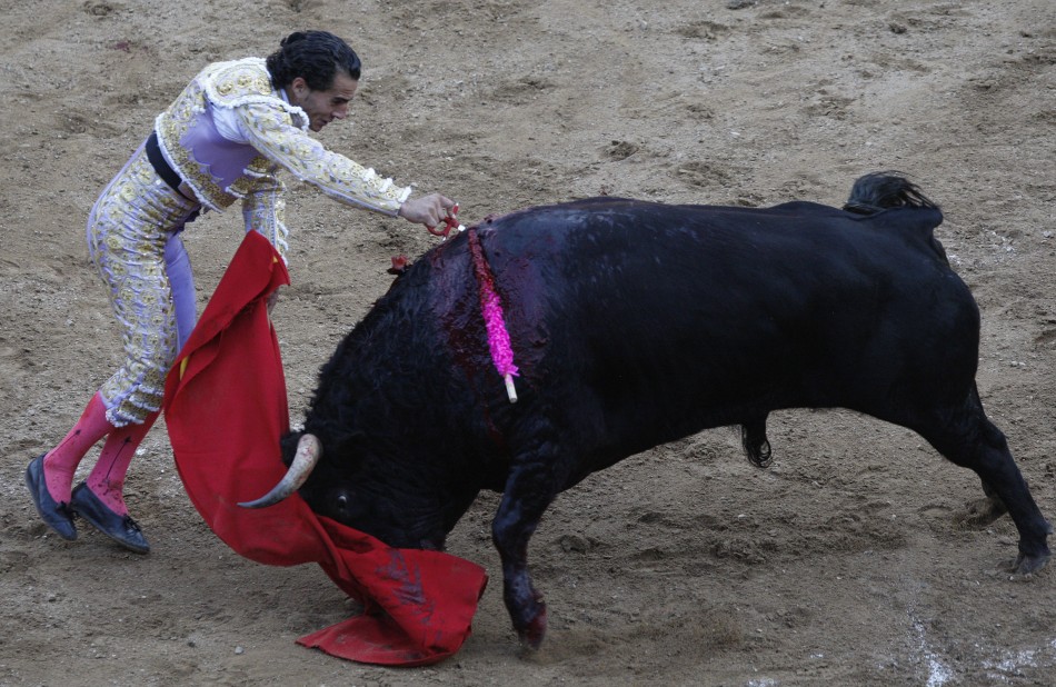 Cali bullfight