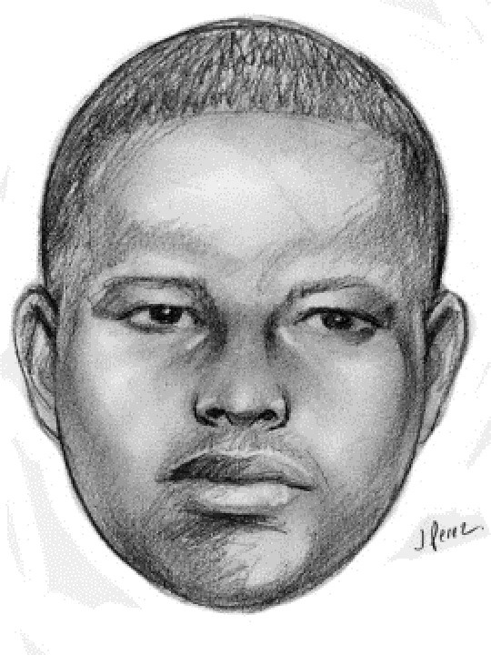 This sketch released by the New York Police Department shows a supsect wanted in a string of arson attacks on Sunday, Jan. 1, 2012 This sketch released by the New York Police Department shows a supsect wanted in a string of arson attacks on Sunday, Jan. 1, 2012