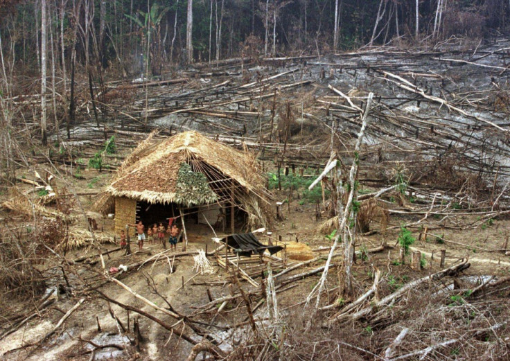Yanomami Indians in Amazon jungle