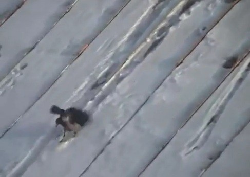 Crowboarding