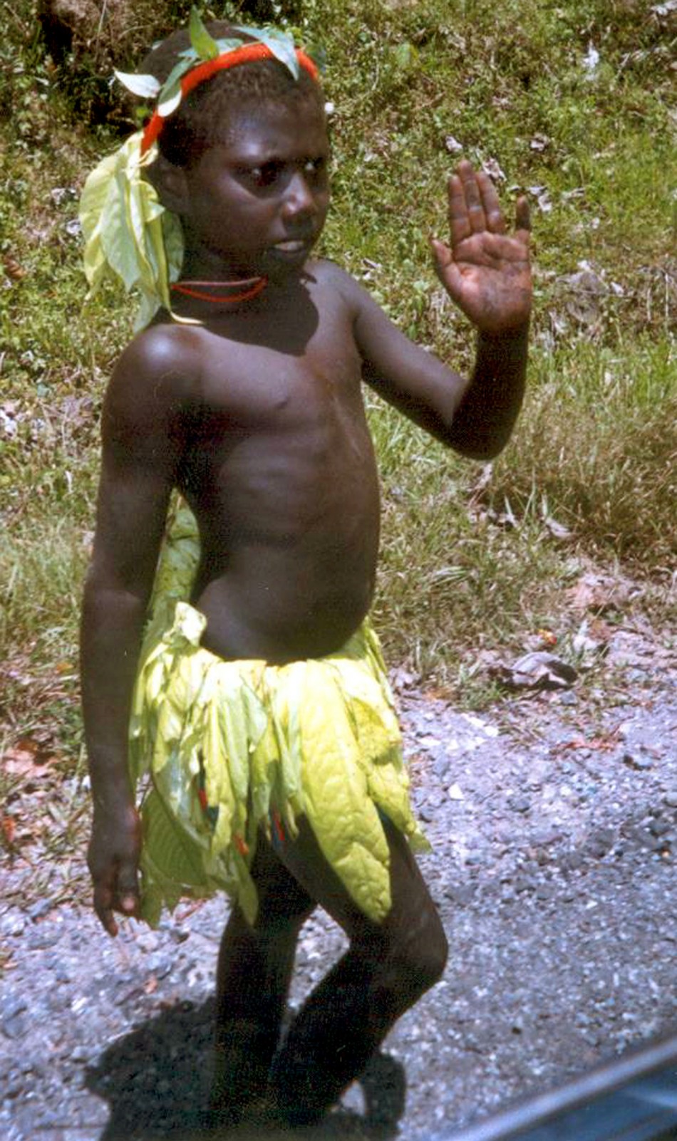 Jarawas: Tourism Pushing Andaman Aborigines to Tipping Point