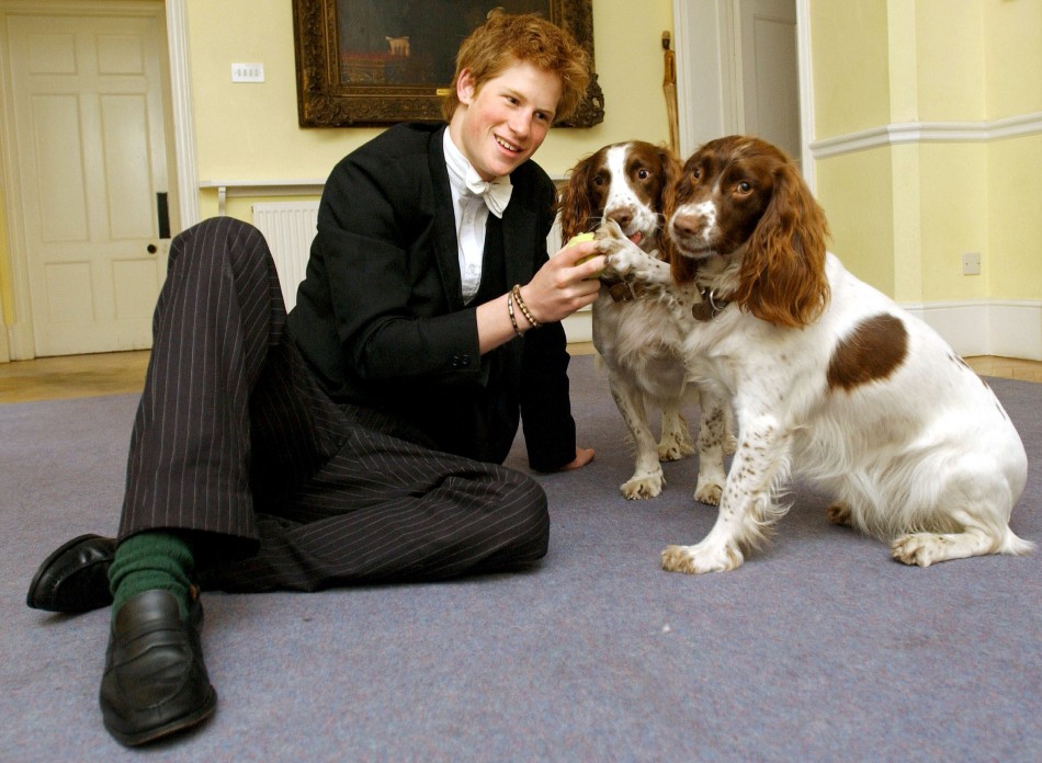 Royal Family with Animals