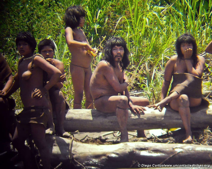 Startling New Photos of Uncontacted Tribe in Peru Released