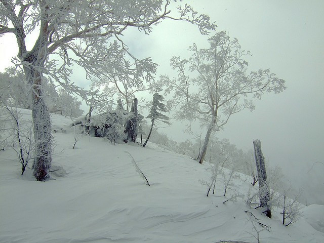 Japanese Snowstorm