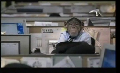 Chimp