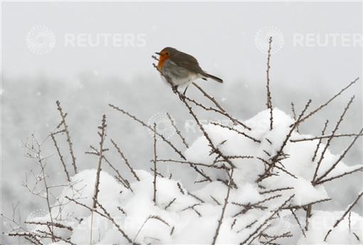 Deadly Winter in Europe