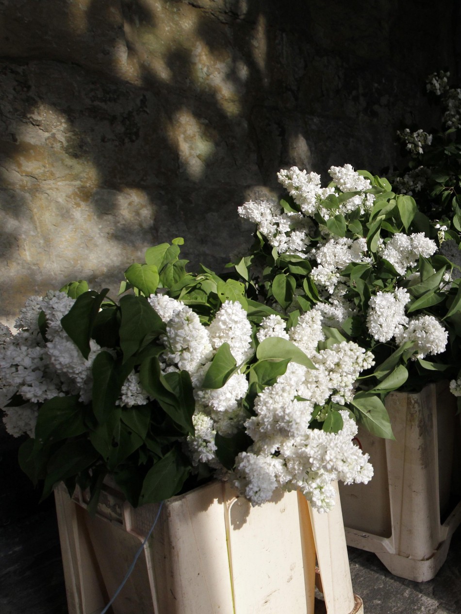 Valentine's Day 2012 Top Ten Most Romantic Flowers