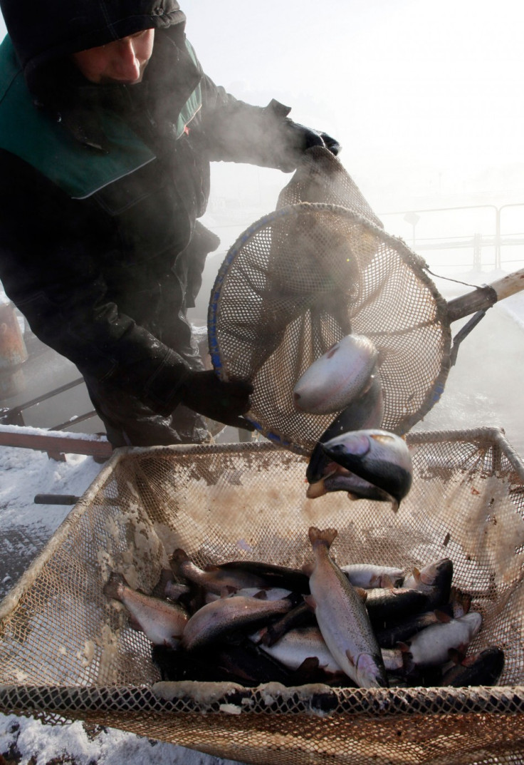 Overfishing of EU Stocks Cost 3.2 Billion Euros and 100000 Jobs Overfishing of EU Stocks Cost 3.2 Billion Euros and 100000 Jobs