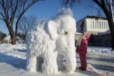 A visitor looks at an elephant made of snow and ice at the Central Botanical Garden during winter in Minsk
