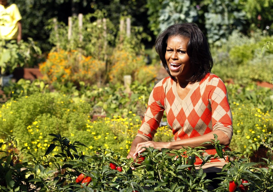 U.S. first lady Michelle Obama harvests the White House Kitchen Garden during the fall season in Washington
