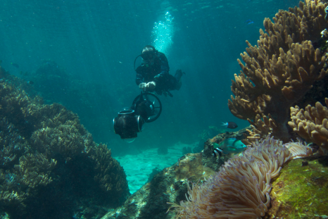 Coral Reef: Underwater Sample Imagery