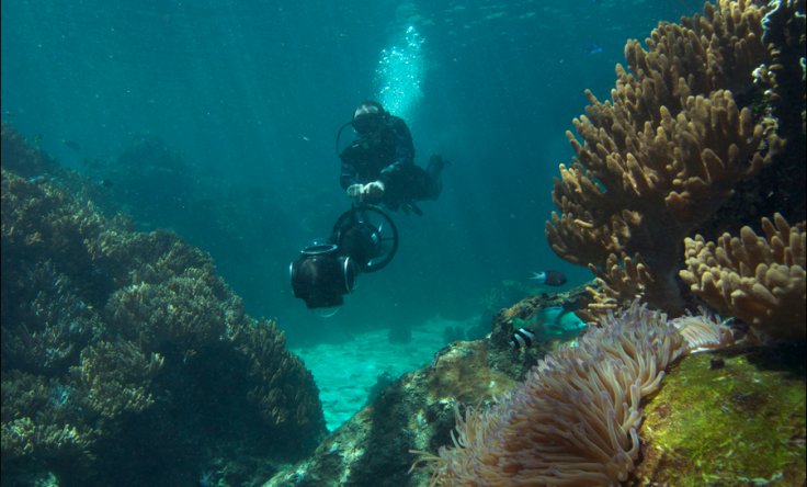 Coral Reef: Underwater Sample Imagery